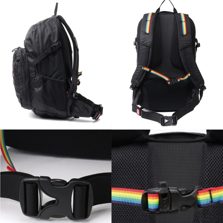 CHUMS（チャムス） CHUMS正規品 スプリングデール30(デイパック