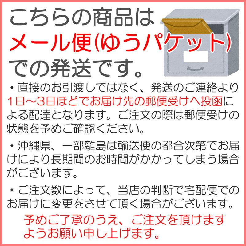 クレール Vネック 脇汗パッド付きシャツ ２枚組 エアロタッシェ 白 メンズ 脇汗対策 汗染み対策 メッシュ 吸水速乾 抗菌防臭 接触冷感 多汗症 日本製 送料無料｜creal-shop｜12