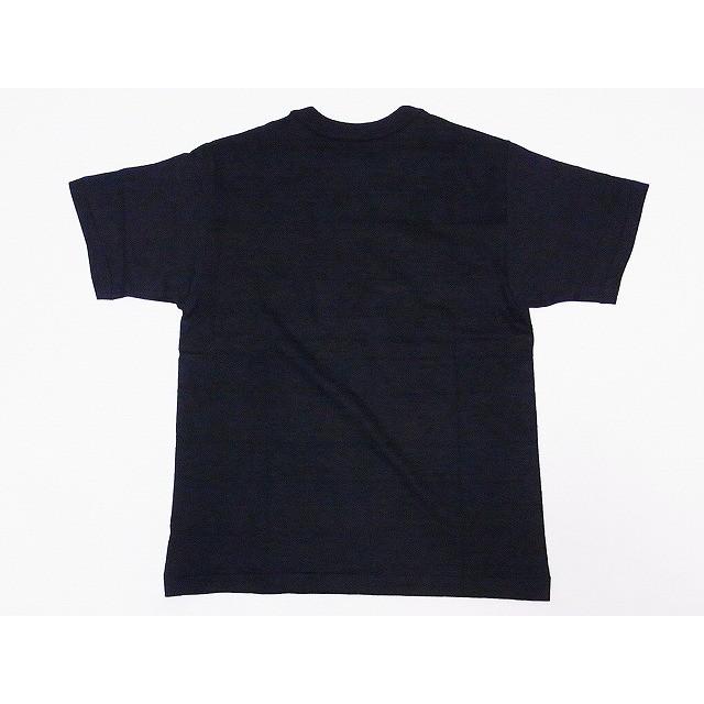 WAREHOUSE（ウエアハウス） Tシャツ DELTA GAMMA 4601 (スミクロ