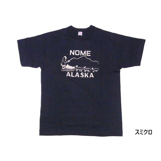 Akiramenai 　WAREHOUSE ウエアハウス ロゴデザイン WAREHOUSE（ウエアハウス） WAREHOUSE Tシャツ 4601 NOME : American
