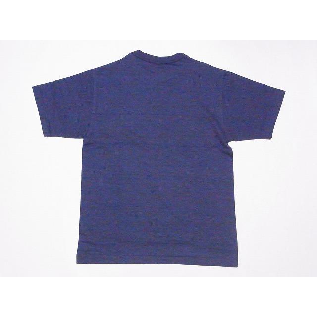 WAREHOUSE（ウエアハウス） WAREHOUSE Tシャツ WAIKELE 4601