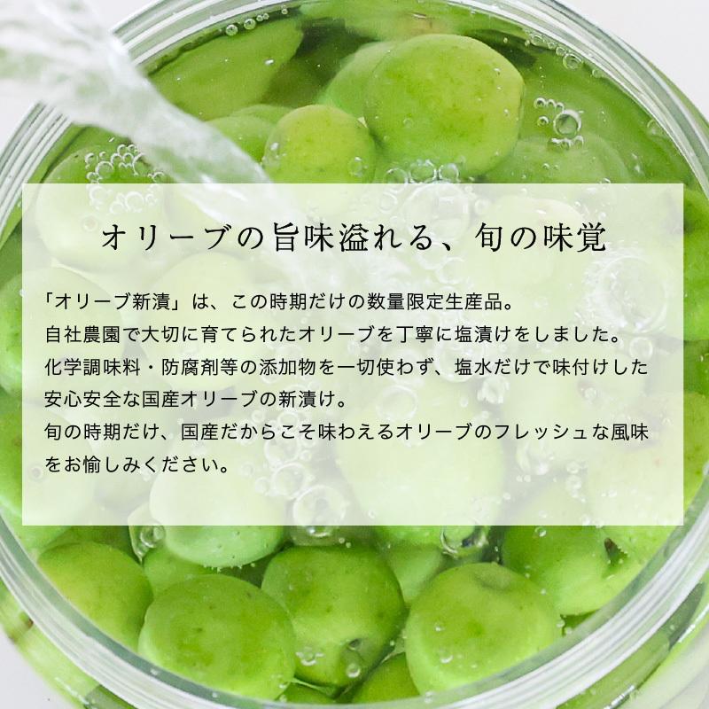 静岡産 新漬オリーブ 80g オリーブ 実 新漬け 浅漬け オリーブ塩漬け オリーブ浅漬け Ct 0 オリーブオイル専門店 Crea Table 通販 Yahoo ショッピング