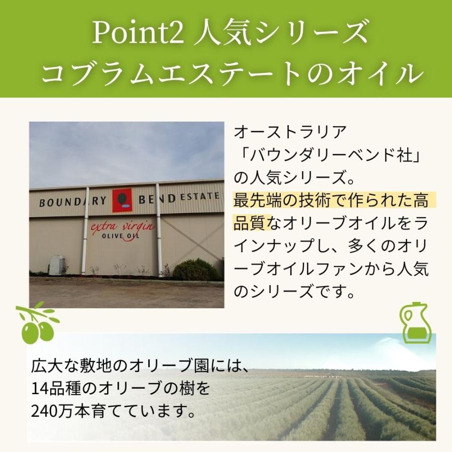 コブラムエステート エキストラバージンオリーブオイル クラシック 3000ml オリーブジャパン 2025 銀賞受賞 |  | 07