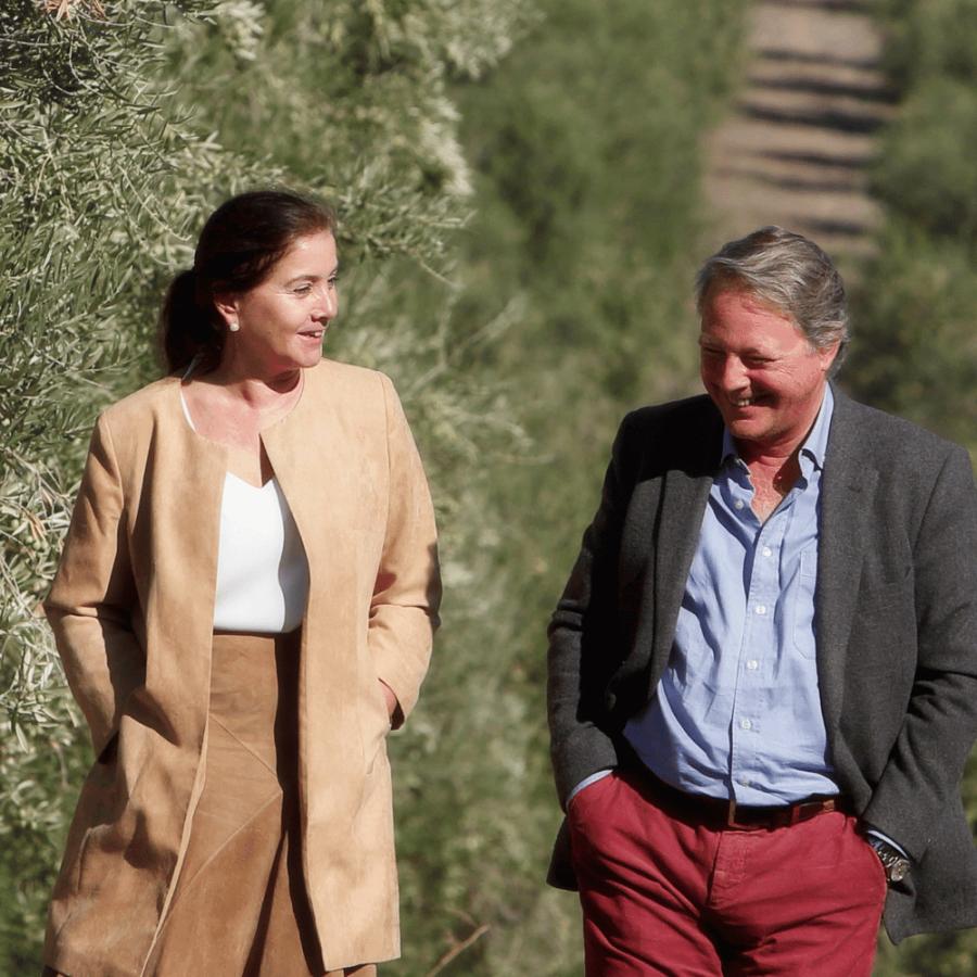 カスティージョ・デ・カネナ 早摘み 冷燻オリーブオイル ギフト 高級 アルベキーナ種 250ml | CASTILLO De CANENA | 05