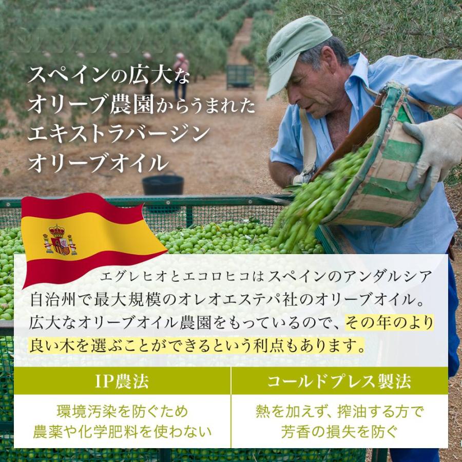 エコロヒコ 有機 エキストラバージン オリーブオイル 2500ml オレオエステパ スペイン 業務用 当店限定販売 オーガニック オリーブジャパン 2025 金賞 | Oleoestepa | 06