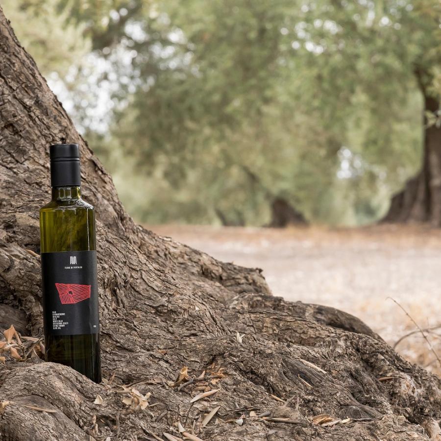 パンタレオ エキストラバージンオリーブオイル 250ml |  | 01