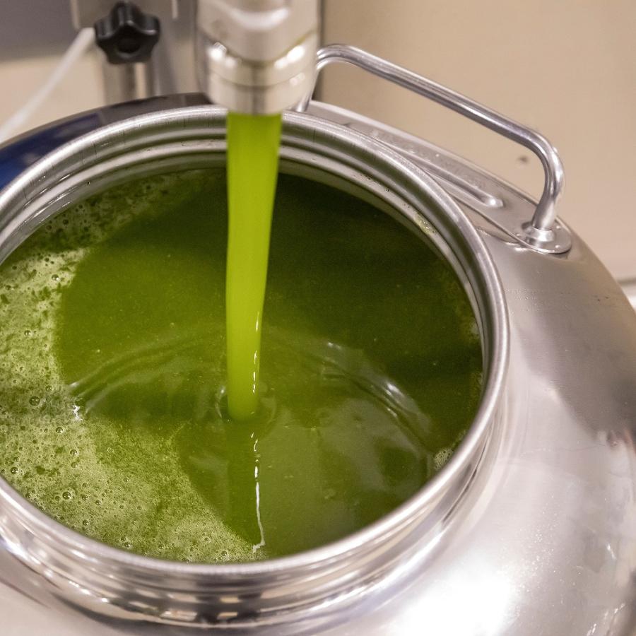 パンタレオ エキストラバージンオリーブオイル 250ml |  | 07