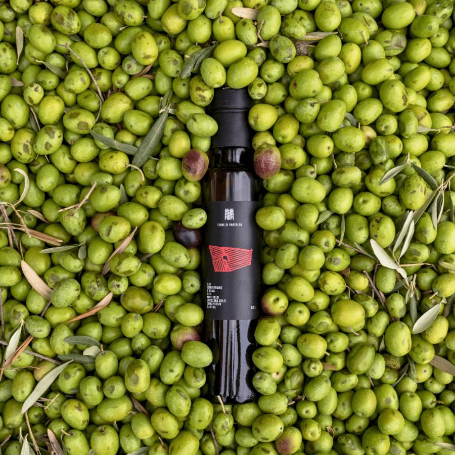 パンタレオ エキストラバージンオリーブオイル 250ml |  | 08