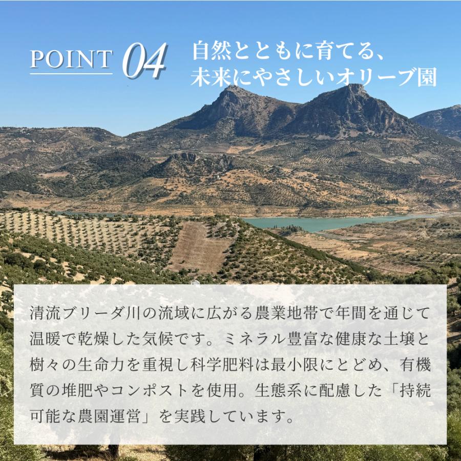 リオラルゴエキストラバージンオリーブオイル　500ml |  | 05
