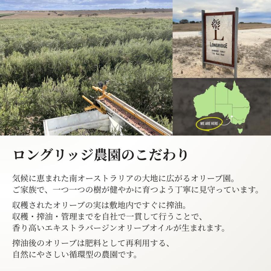 ロングリッジ エキストラバージン オリーブオイル 250ml 高コスパ オーストラリア産 契約農園直輸入 | crea table | 07