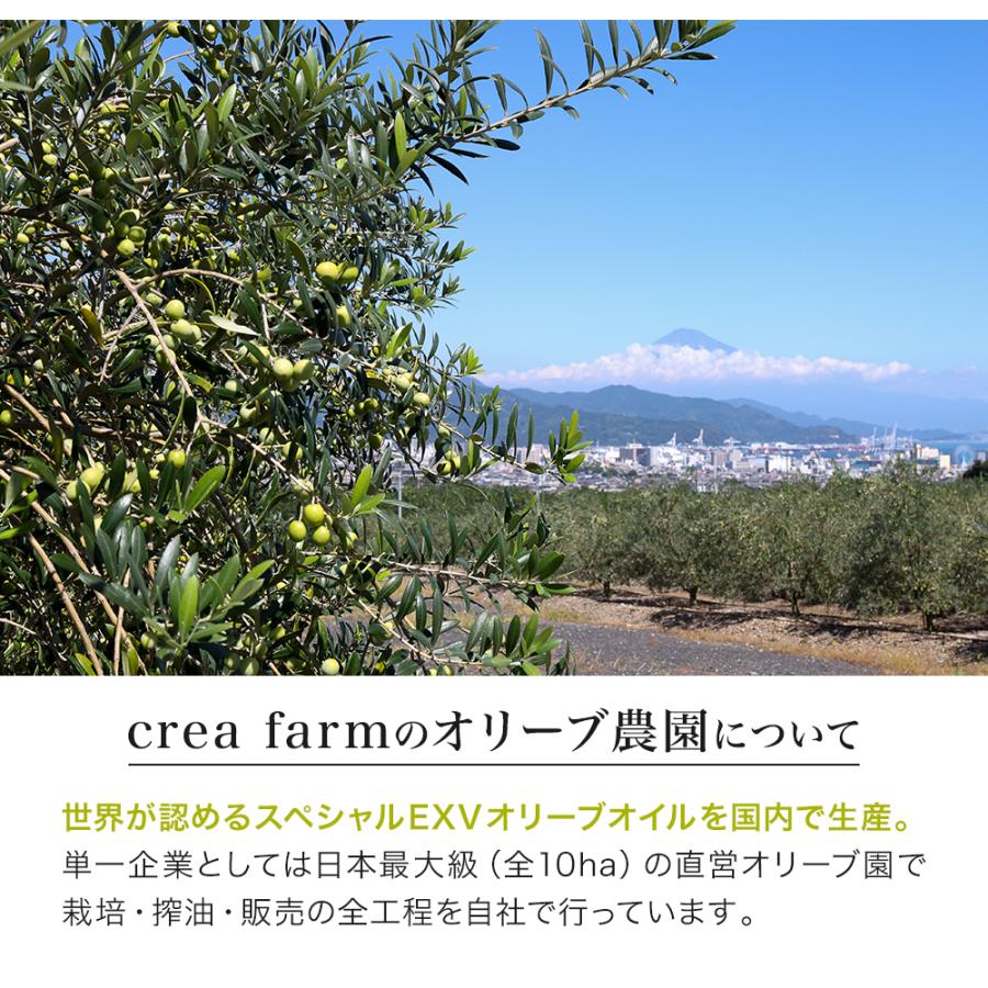 2025年収穫静岡産 オリーブ漬け 80g パウチタイプ グリーン オリーブ 新漬け 新漬 実 浅漬 塩漬 浅漬 自社農園 国産 ピクルス テーブルオリーブ | crea table | 10