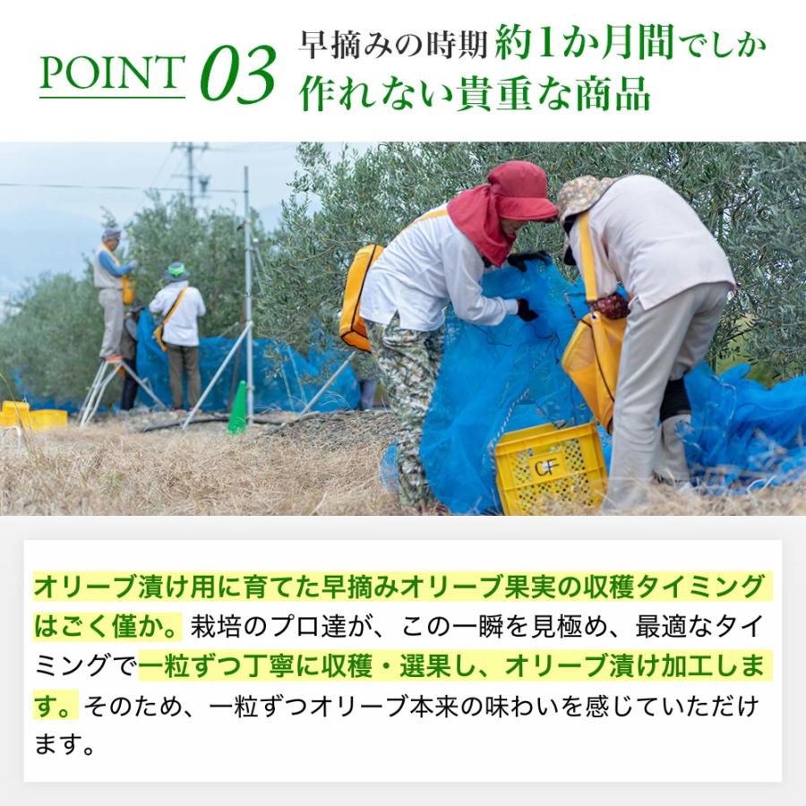 2025年収穫静岡産 オリーブ漬け 80g パウチタイプ グリーン オリーブ 新漬け 新漬 実 浅漬 塩漬 浅漬 自社農園 国産 ピクルス テーブルオリーブ | crea table | 06