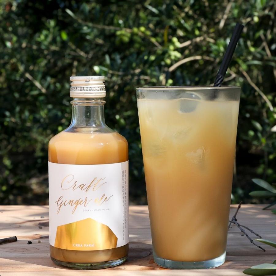 値下げ！②ジンジャーエール【業務用 ドリンクサーバー用原液シロップ