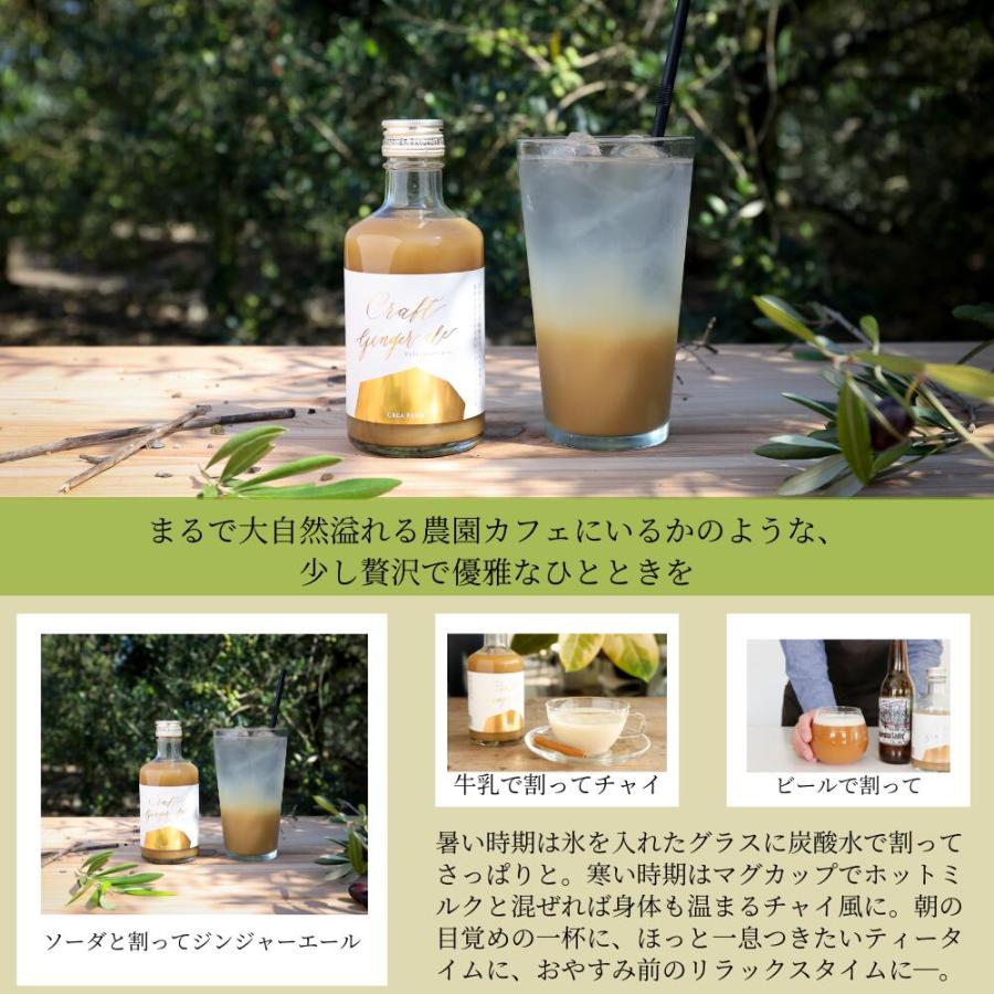 crea table（クレアテーブル） クラフト ジンジャーエールの素 300ml 4