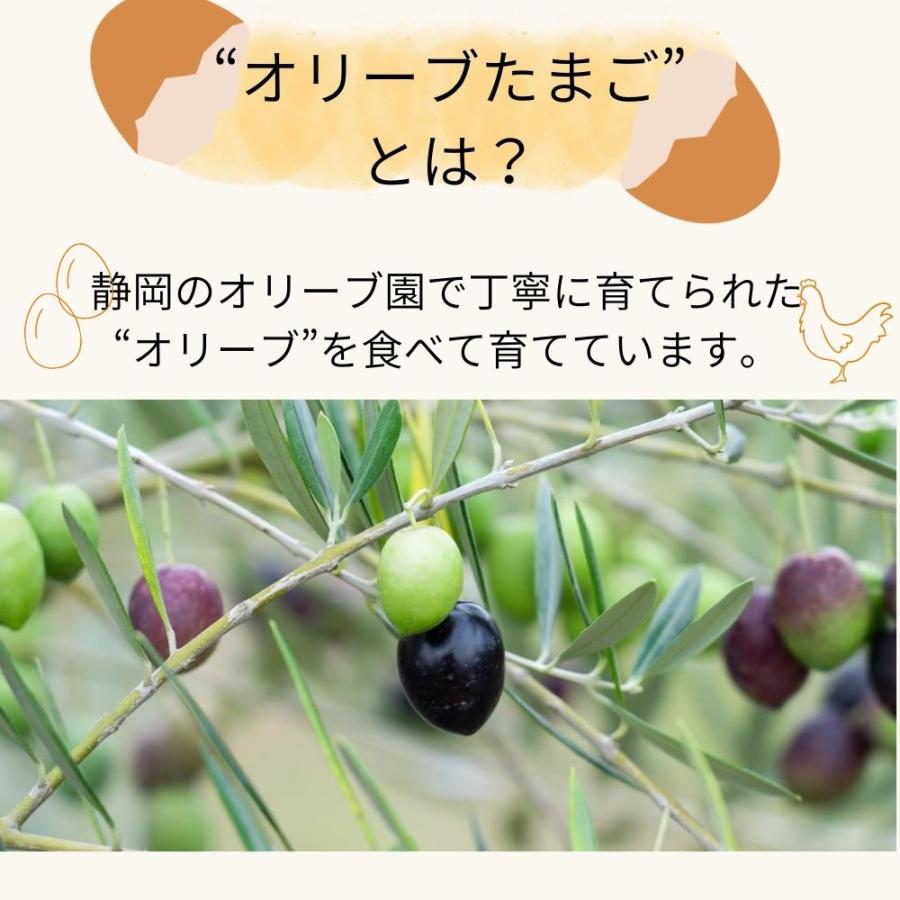 オリーブたまごのバウムクーヘン ギフト BOX入り ホール 静岡産オリーブを食べて育てた鶏の新鮮たまごを使用 バームクーヘン お礼 土産 | crea table | 03