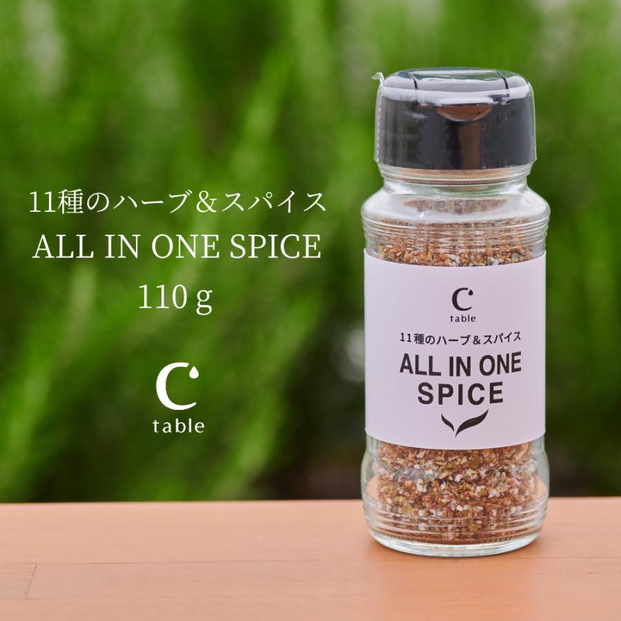11種のハーブ＆スパイス ALL IN ONE SPICE 110g アウトドアスパイス  万能 ミックススパイス 調味料 BBQ バーベキュー | crea table