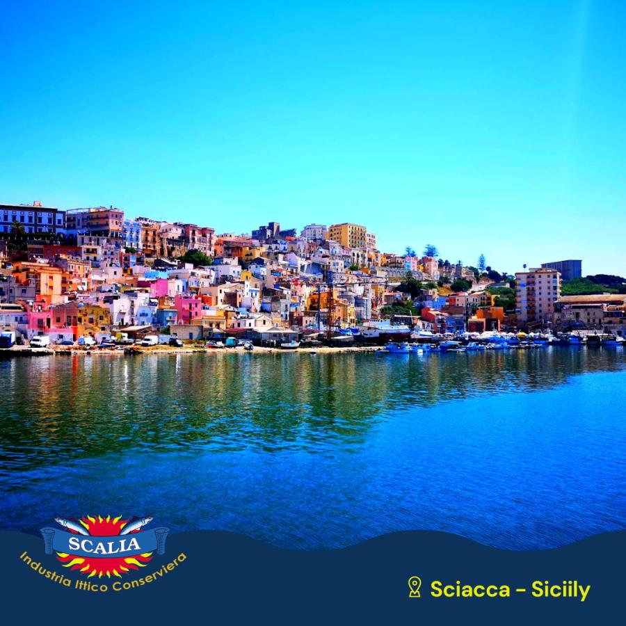 門外不出の コラトゥーラ 100ml Colatura d'acciughe イタリア シチリア産 魚醤 カタクチイワシ イタリアン 発酵 調味料 |  | 04