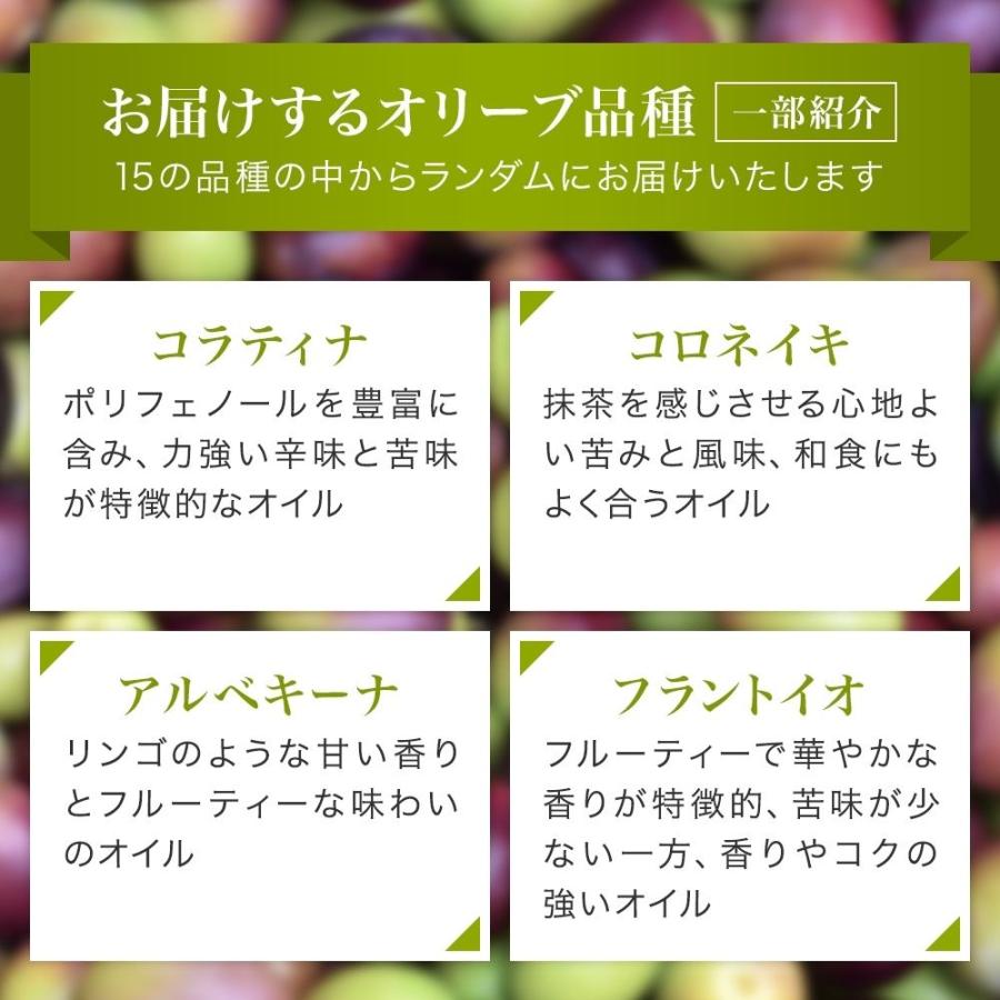 オリーブオイル ギフト 送料無料 静岡産EXVオリーブオイル 120ml 2本 ギフトセット （ギフトBOX入）｜creatable｜11