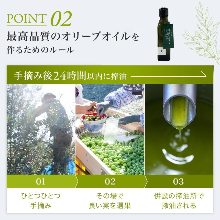 オリーブオイル ギフト 静岡産EXVオリーブオイル 2本 ギフトセット ギフト箱入り 熨斗対応 内祝い 御礼 プレゼント 誕生日 | crea table | 07