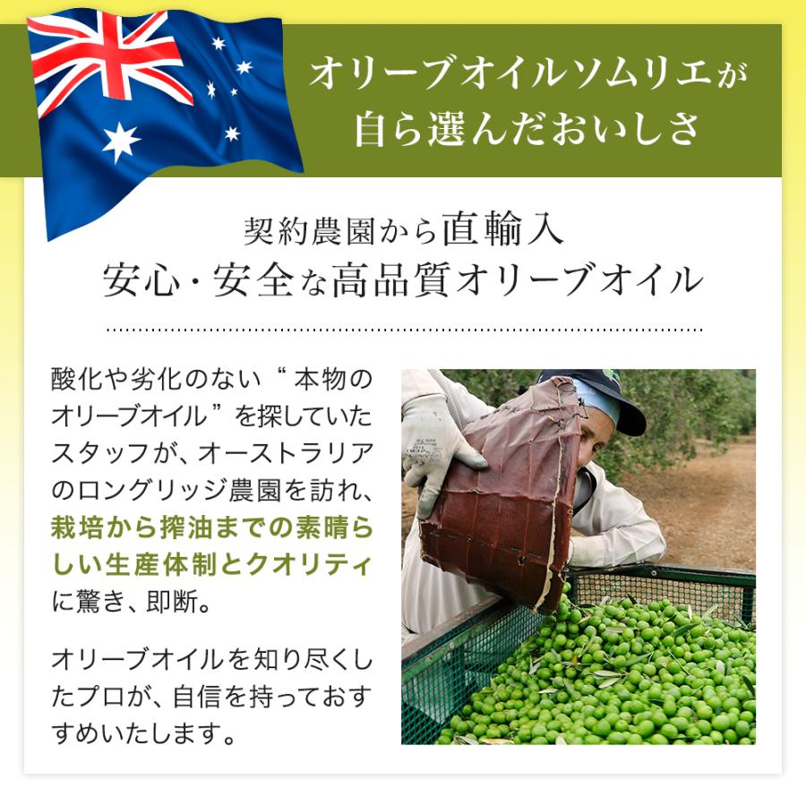 オリーブオイル ギフト EXV オリーブオイル ロングリッジ 500ml 2本 ギフトセット ギフト箱入り  熨斗対応 内祝い 御礼 プレゼント 誕生日 | crea table | 06