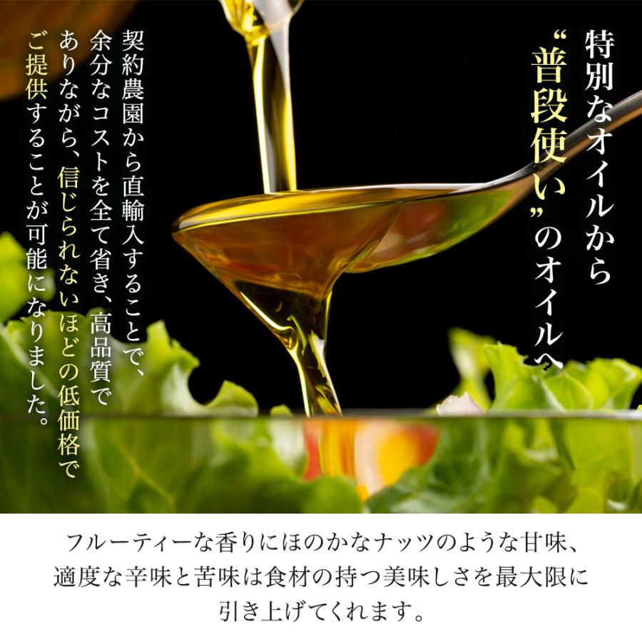 オリーブオイル ギフト EXVオリーブオイル ロングリッジ250ml 2本 ギフトセット ギフト箱入り 熨斗対応 | crea table | 02