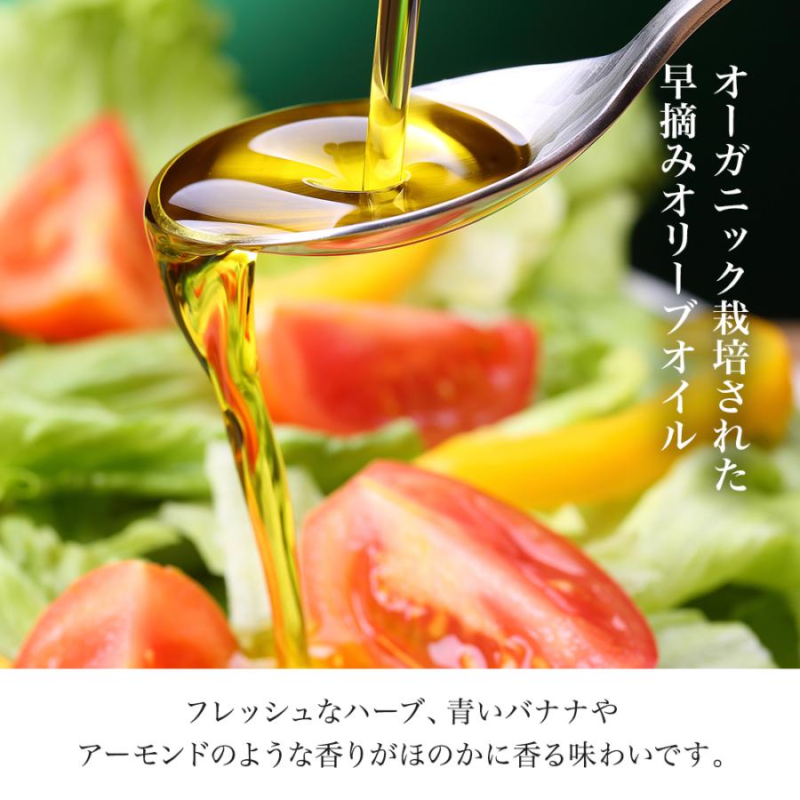 エグレヒオ 2本セット 有機 エキストラバージン オリーブオイル 500ml オレオエステパ スペイン オーガニック オリーブジャパン 2025 金賞 | Oleoestepa | 02