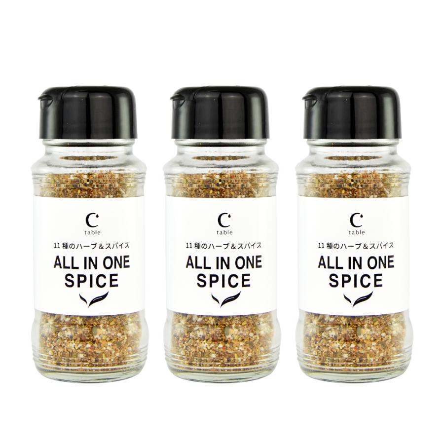 11種のハーブ＆スパイス ALL IN ONE SPICE 110g 3本 アウトドアスパイス  万能 ミックススパイス 調味料 BBQ バーベキュー | crea table