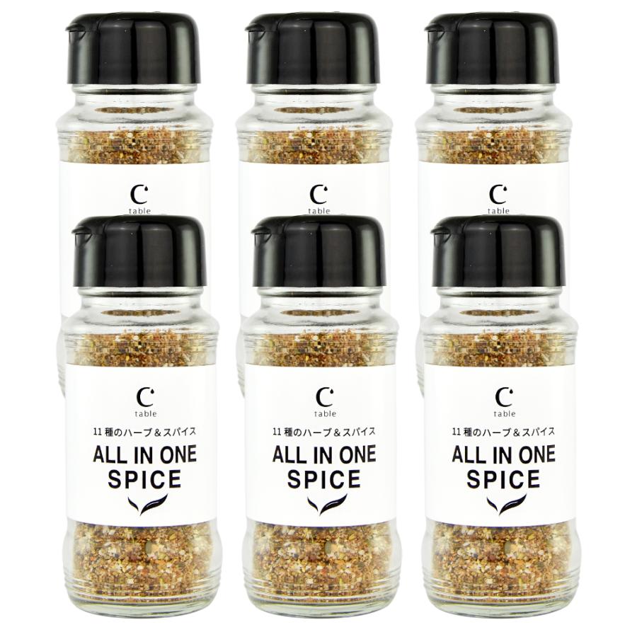 11種のハーブ＆スパイス ALL IN ONE SPICE 110g 6本 アウトドアスパイス  万能 ミックススパイス 調味料 BBQ バーベキュー | crea table