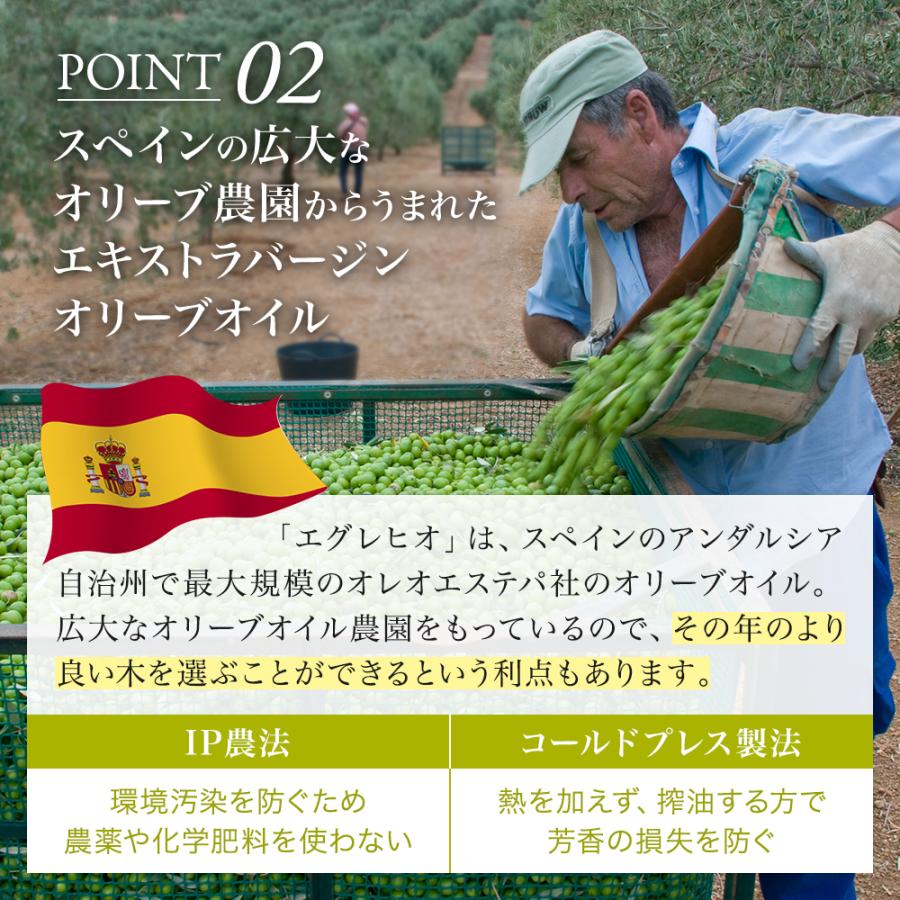オリーブオイル ギフト EXV オリーブオイル エグレヒオ500ml1本ギフトセットギフト箱入り 熨斗対応 内祝い 敬老の日 御礼 お中元 | crea table | 05