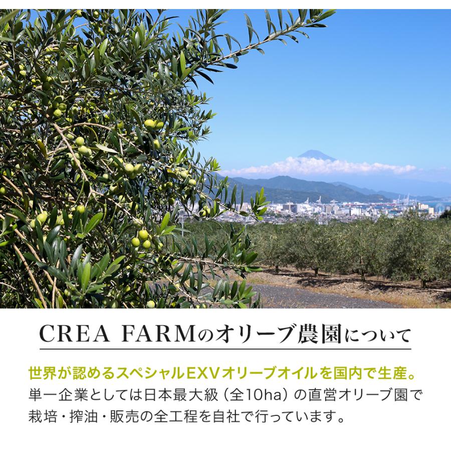 オリーブオイル ギフト 静岡産オリーブオイルセット ギフトBOX入り ギフトセット 熨斗対応 内祝い お祝い 御礼 誕生日 手土産 プレゼント | crea table | 06