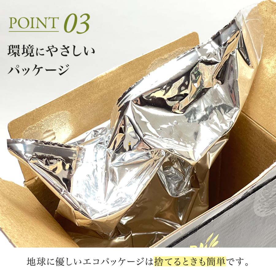 ロングリッジ エキストラバージン オリーブオイル 2L 3個セット 酸化防止オーストラリア産 契約農園直輸入 大容量 業務用 | crea table | 09