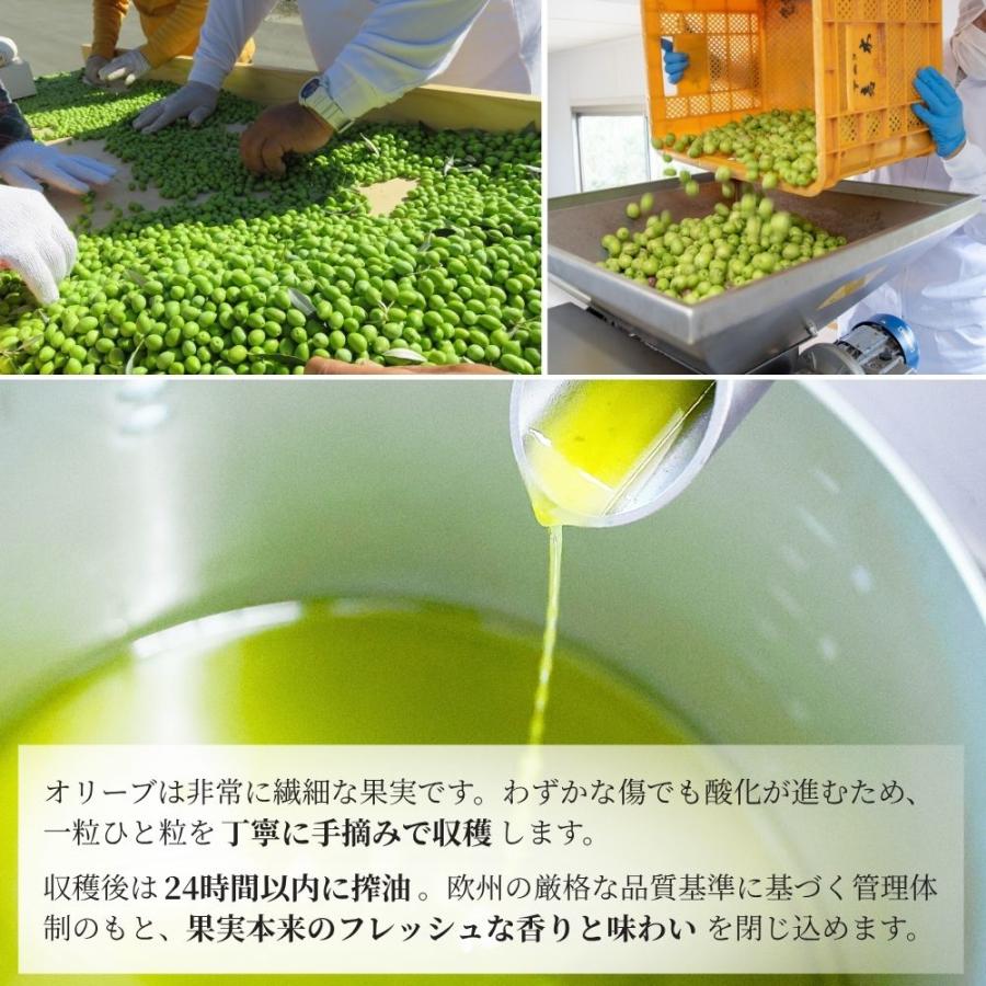 静岡産オリーブオイルとバームクーヘンセット ギフトBOX入り 熨斗対応 内祝い お祝い 御礼 誕生日 手土産 プレゼント 残暑見舞い 敬老の日 | crea table | 04