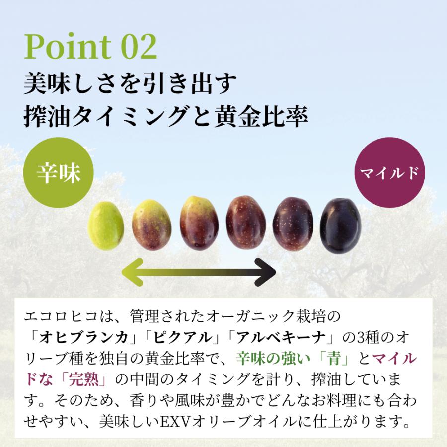 JAS認証 オーガニック オリーブオイル エコロヒコ 有機 エキストラバージン オリーブオイル 500ml 2本セット オレオエステパ スペイン 業務用 当店限定販売 | Oleoestepa | 06