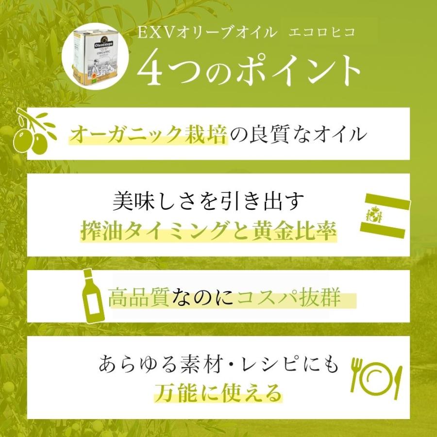エコロヒコ 有機 エキストラバージン オリーブオイル 2500ml 3缶セット オレオエステパ 業務用 当店限定販売 オーガニック オリーブジャパン 2025 金賞 | Oleoestepa | 02