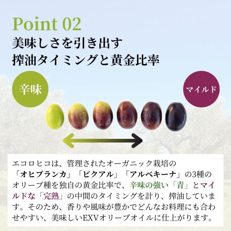 エコロヒコ 有機 エキストラバージン オリーブオイル 2500ml 3缶セット オレオエステパ 業務用 当店限定販売 オーガニック オリーブジャパン 2025 金賞 | Oleoestepa | 06