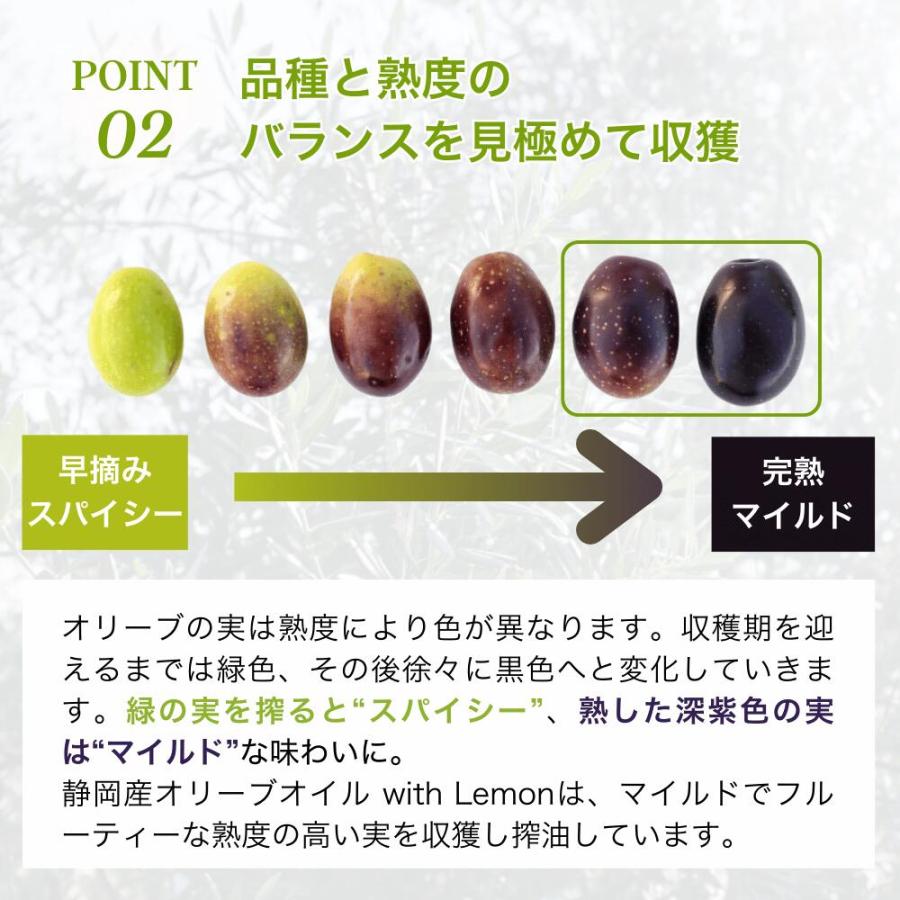 【母の日】オリーブオイル ギフト 静岡産EXVオリーブオイルと静岡産レモンオリーブオイル 2本 ギフトセット ギフト箱入り 熨斗対応 内祝い プレゼント 誕生日 | crea table | 09