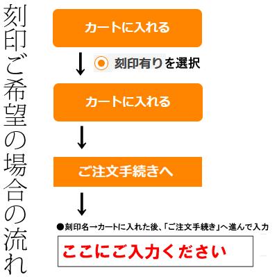 抗菌 ナーシングフォネット聴診器シングルタイプ No.116III　日本製（ケンツメディコ社） ＜全１0色＞ | ケンツメディコ | 09