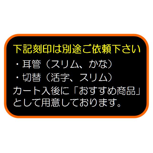 ステレオフォネットNo.171（日本ケンツメディコ社製ステレオ聴診器）　<全３色> 【オールステンレス】