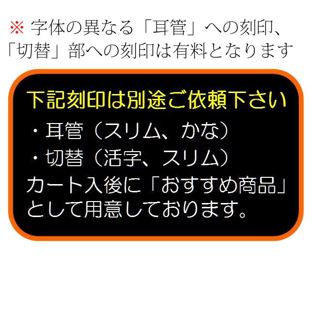 ステレオフォネットSX No.178（ケンツメディコ社製ステレオ聴診器）＜全６色＞ | ケンツメディコ | 13