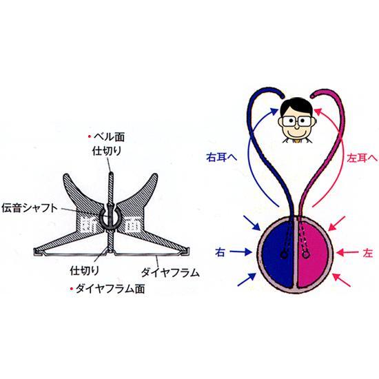 ステレオフォネットSX No.178（ケンツメディコ社製ステレオ聴診器）＜全６色＞ | ケンツメディコ | 01