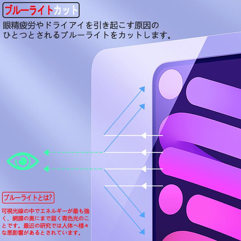 iPad 第10世代 2022 10.9インチ ブルーライトカット 90% 液晶
