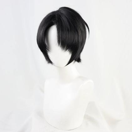 進撃の巨人 リヴァイ コスプレ ウィッグ 進撃の巨人 The Final Season 風 リヴァイ コスプレ ウィッグ 激安 WIG