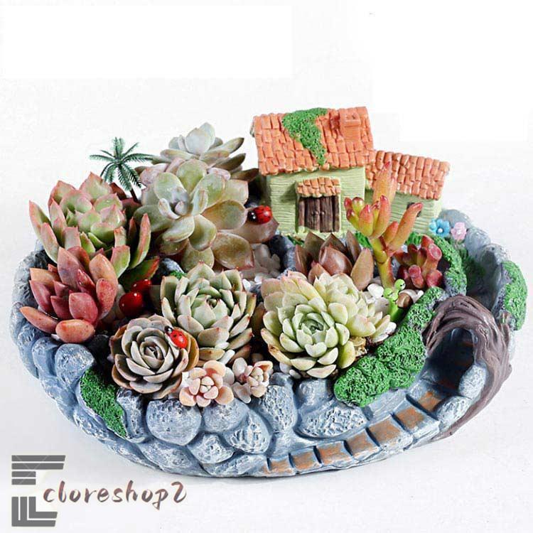 ★速達付き★♡そのまま飾れる♡リメイク鉢♬可愛い多肉植物寄せ植え♡ ピック付き♡ ブリキ鉢の多肉寄せ植え♡多肉植物♡可愛い♡もりもり アート