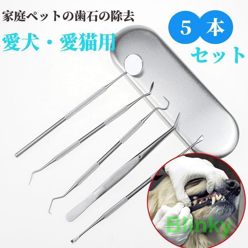 犬用スケーラー 歯石除去 歯石取り 器具 ペット 歯磨き 犬(猫) わん