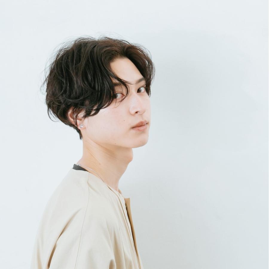 ストレートアイロン クレイツ エレメアR  SSIE-GR2R CREATEs クレイツイオン アイロン 海外対応 | CREATEs | 09