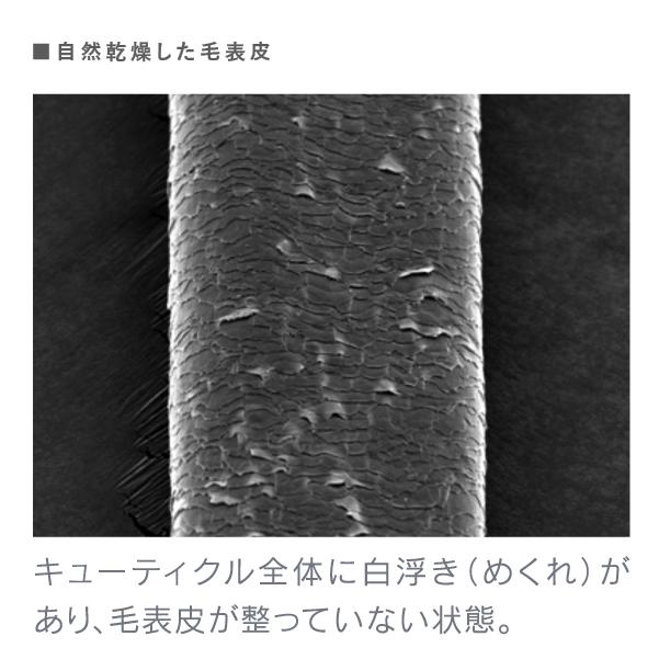 ストレートアイロン クレイツ エレメアストレート SSIE-G15PRO CREATEs クレイツイオン アイロン 海外対応 | CREATEs | 08