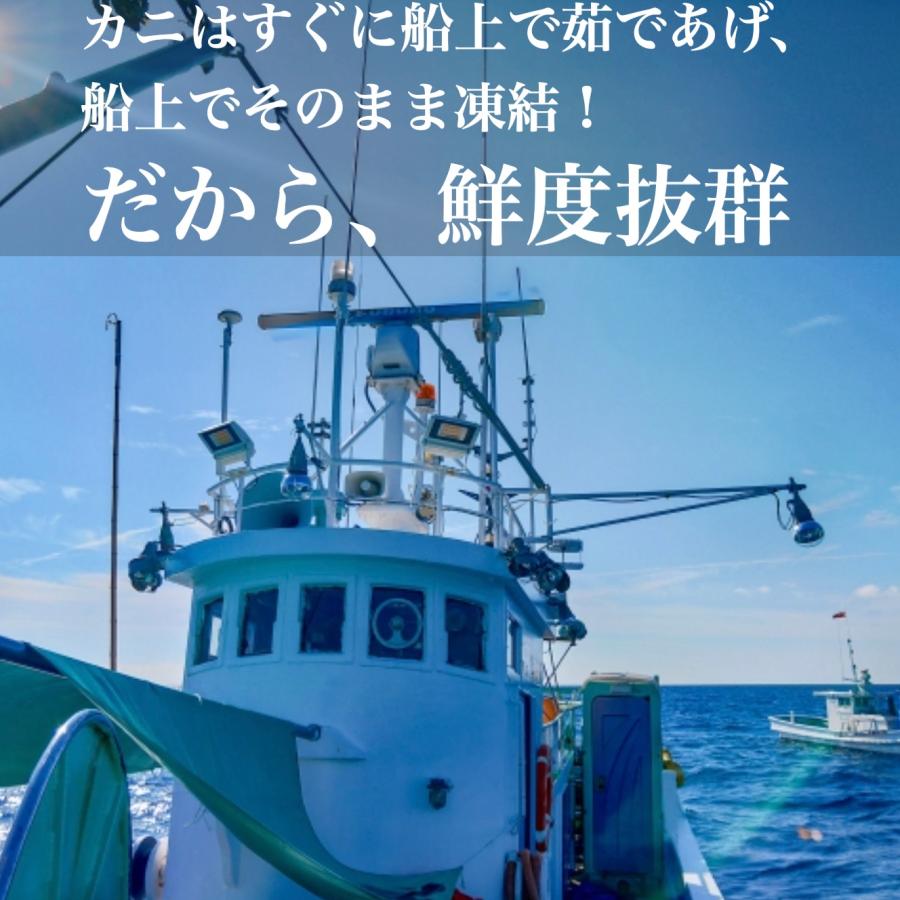 カニ かに 蟹 特大タラバガニ 2kg ボイル 5L ゆで 太脚 訳あり たらば蟹 格安 お歳暮 御歳暮 ギフト 激安 シュリンク 茹で 年末年始 お取り寄せ｜creative-a-day｜10