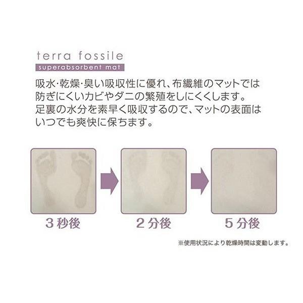 さらっと快適 足さら珪藻土バスマットL : クリエイティブ マーケット
