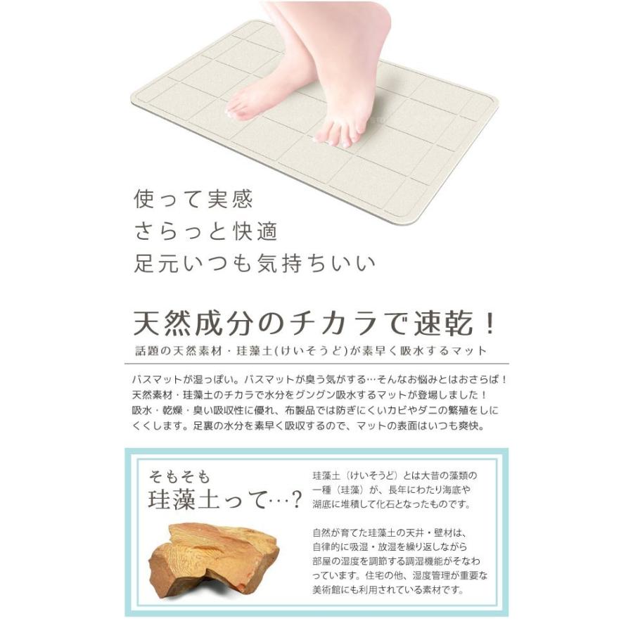 さらっと快適 足さら珪藻土バスマットL : クリエイティブ マーケット