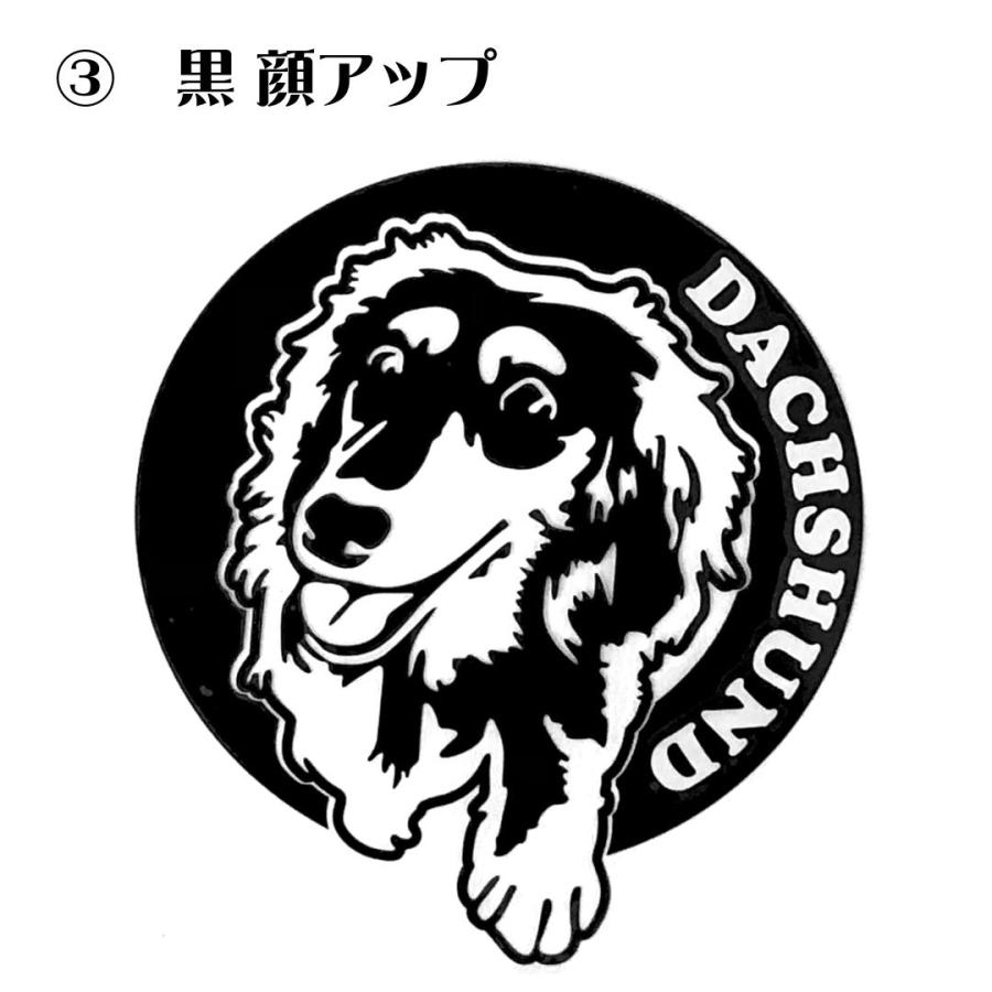 車 犬 ダックスフンド ミニチュアダックスフンド ステッカー おしゃれ